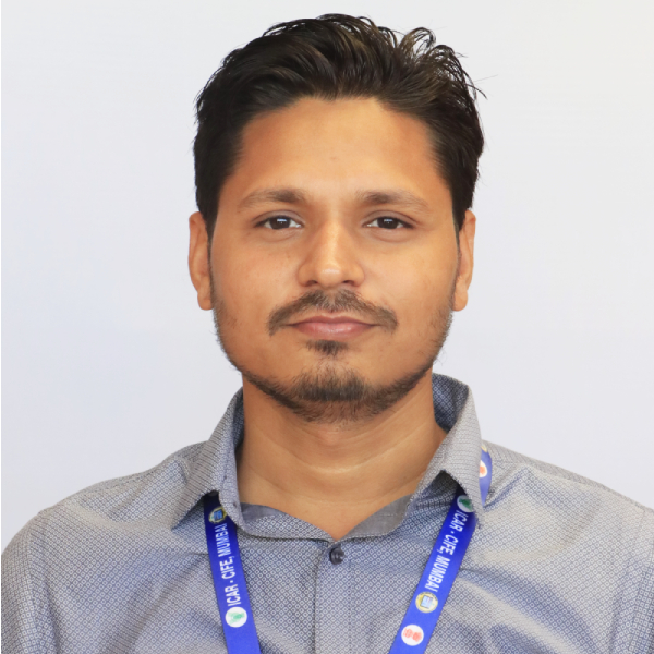 Mr. Simant Kumar Mr. Simant Kumar